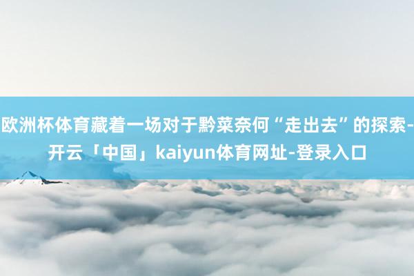 欧洲杯体育藏着一场对于黔菜奈何“走出去”的探索-开云「中国」